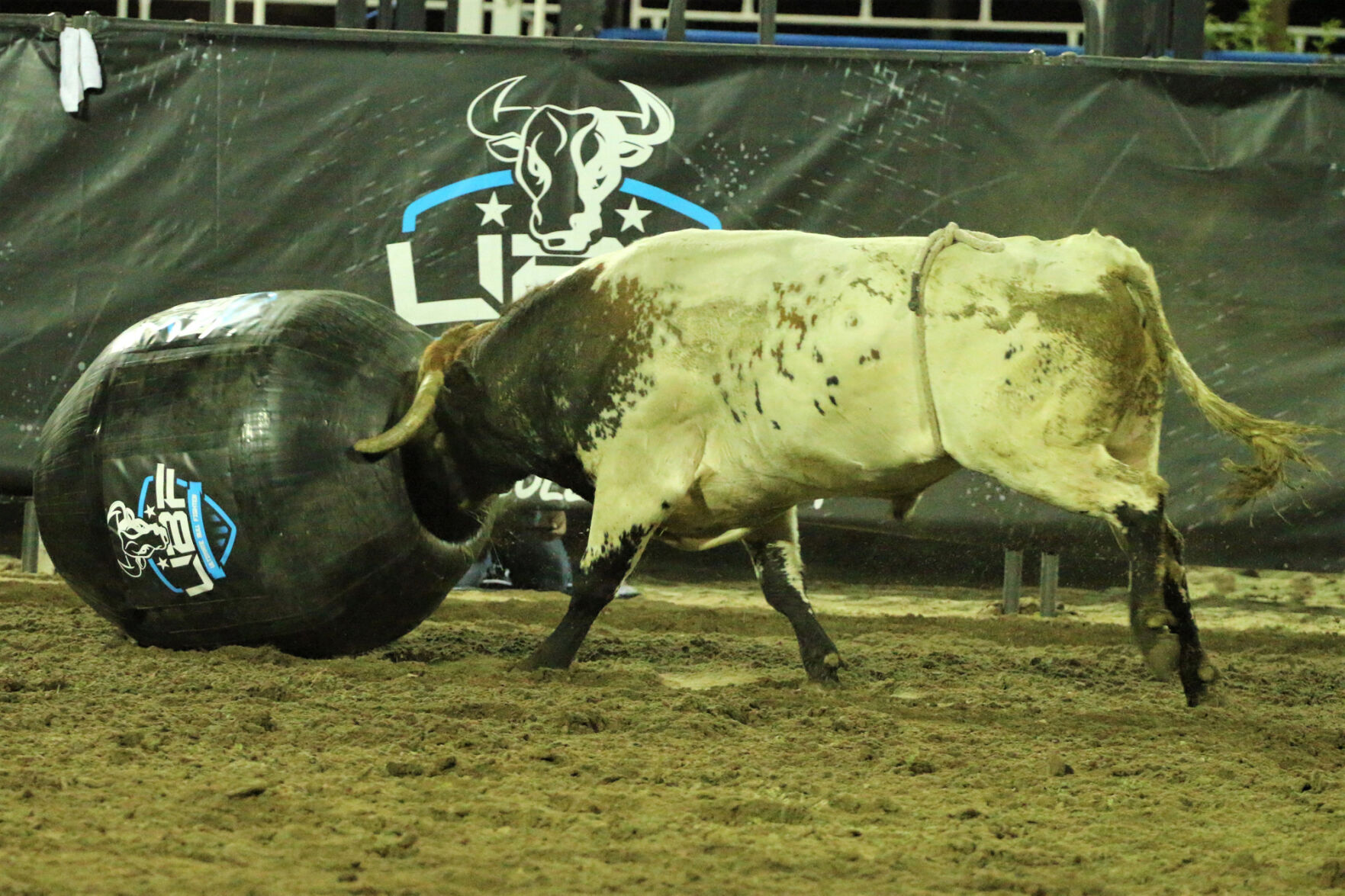 082920_Bulls_008.JPG